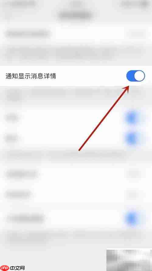 默聊IM开启通知详情