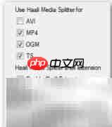 Vista播放OGM视频方法