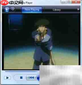 Vista播放OGM视频方法