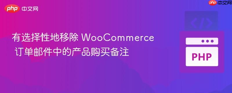 有选择性地移除 woocommerce 订单邮件中的产品购买备注