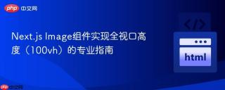 Next.js Image组件实现全视口高度（100vh）的专业指南