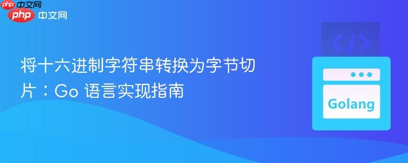 将十六进制字符串转换为字节切片：go 语言实现指南
