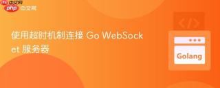 使用超时机制连接 Go WebSocket 服务器