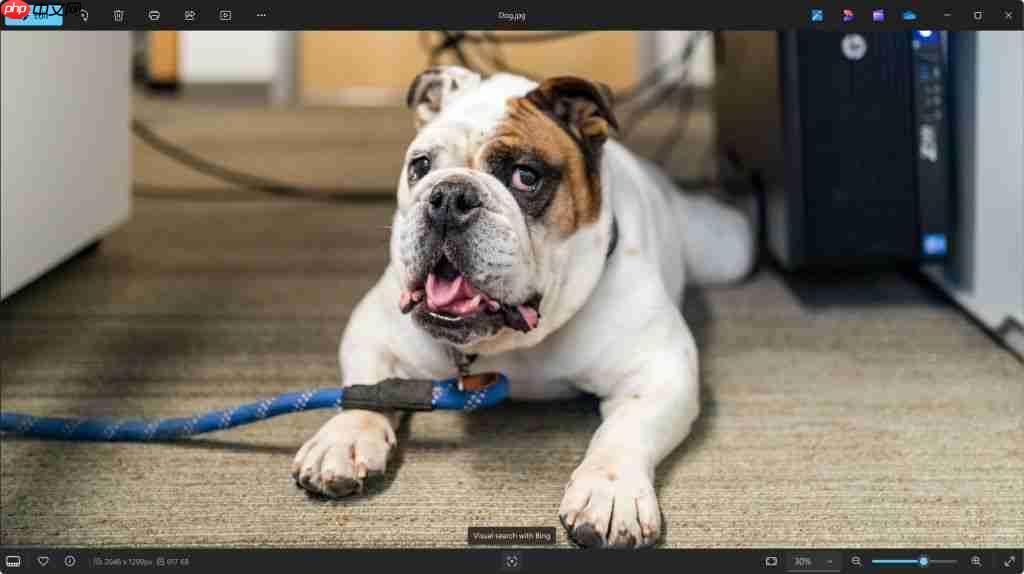 微软邀请 Win10 / Win11 用户测试新版照片应用