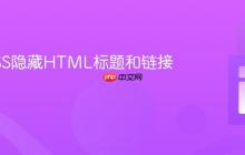 使用CSS隐藏HTML标题和链接标签?