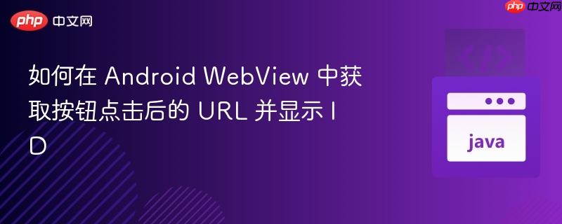 如何在 android webview 中获取按钮点击后的 url 并显示 id