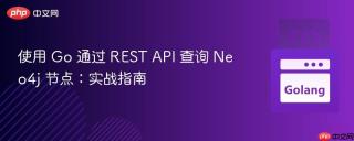 使用 Go 通过 REST API 查询 Neo4j 节点：实战指南