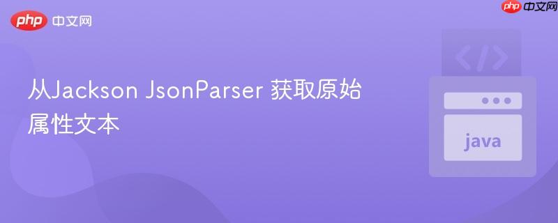 从Jackson JsonParser 获取原始属性文本