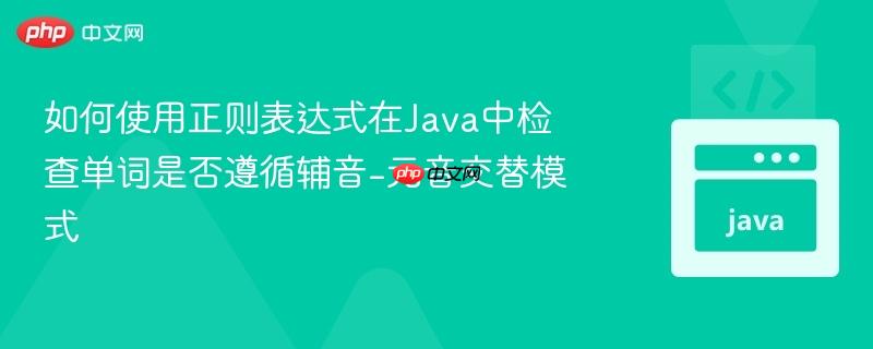 如何使用正则表达式在Java中检查单词是否遵循辅音-元音交替模式