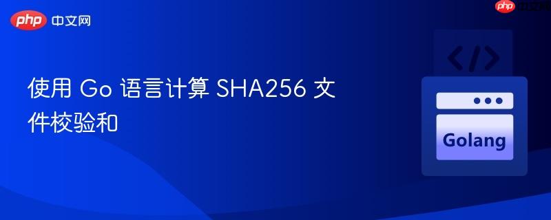 使用 Go 语言计算 SHA256 文件校验和