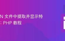 从 JSON 文件中提取并显示特定数据：PHP 教程
