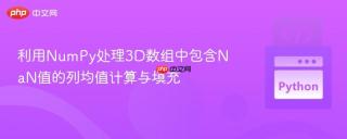 利用NumPy处理3D数组中包含NaN值的列均值计算与填充