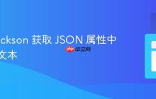 使用 Jackson 获取 JSON 属性中的原始文本