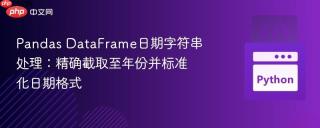 Pandas DataFrame日期字符串处理：精确截取至年份并标准化日期格式