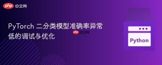 PyTorch 二分类模型准确率异常低的调试与优化