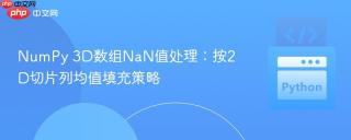 NumPy 3D数组NaN值处理：按2D切片列均值填充策略
