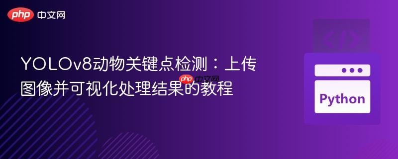 YOLOv8动物关键点检测：上传图像并可视化处理结果的教程
