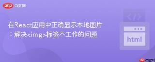 在React应用中正确显示本地图片：解决标签不工作的问题