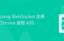 解决 Golang WebSocket 连接失败:Chrome 报错 400
