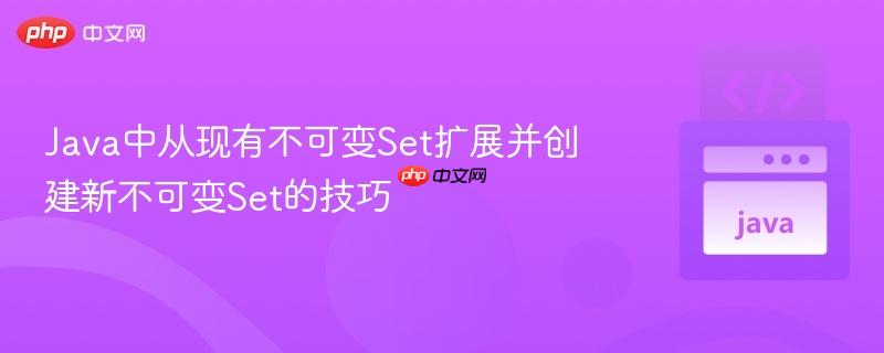java中从现有不可变set扩展并创建新不可变set的技巧