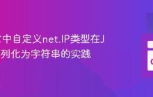 Go语言中自定义net.IP类型在JSON序列化为字符串的实践