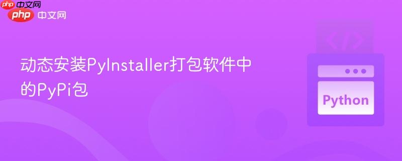 动态安装pyinstaller打包软件中的pypi包