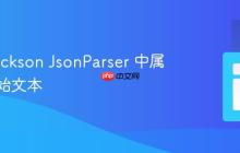 获取 Jackson JsonParser 中属性的原始文本