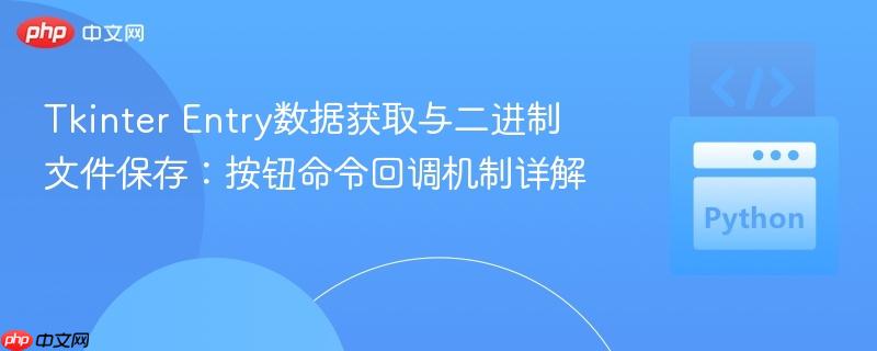 Tkinter Entry数据获取与二进制文件保存：按钮命令回调机制详解
