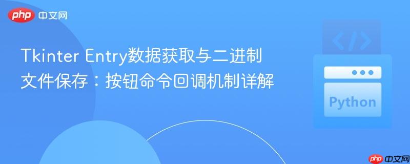 Tkinter Entry数据获取与二进制文件保存：按钮命令回调机制详解