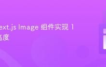 使用 Next.js Image 组件实现 100vh 高度