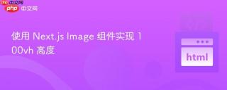 使用 Next.js Image 组件实现 100vh 高度