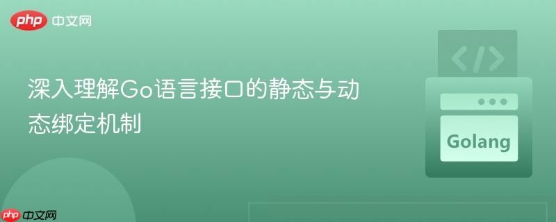 深入理解Go语言接口的静态与动态绑定机制
