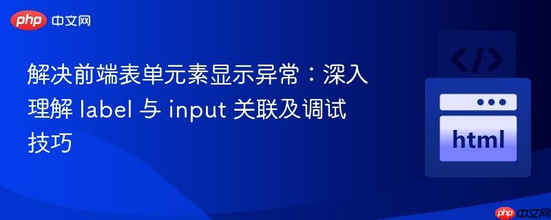 解决前端表单元素显示异常:深入理解 label 与 input 关联及调试技巧