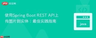 使用Spring Boot REST API上传图片到实体：最佳实践指南