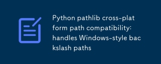 Python pathlib跨平台路径兼容性:处理Windows风格反斜杠路径