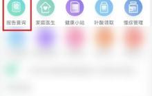 医站到家查婚检报告指南