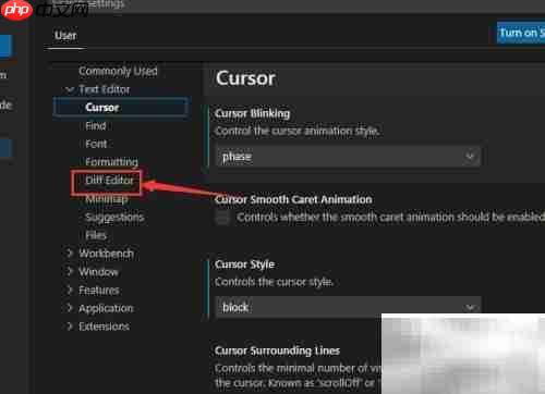 VS Code设置渲染指示器方法