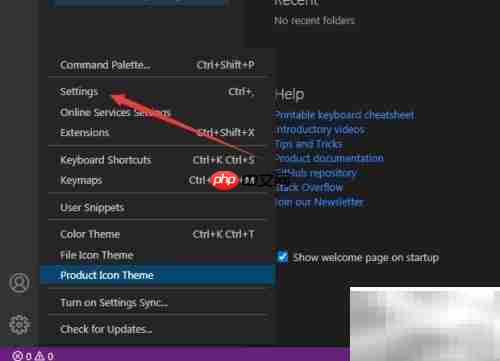 VS Code设置渲染指示器方法