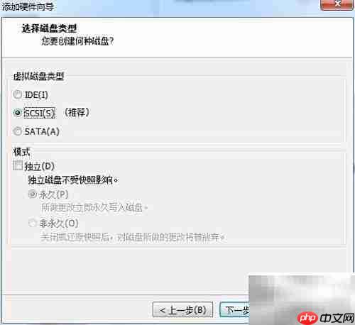VM从USB启动设置