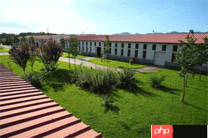 运输合同的核心特征解析