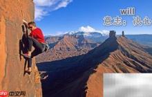 will的中文含义解析