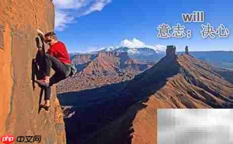 will的中文含义解析