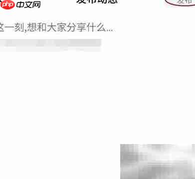 KIGO发布动态全攻略