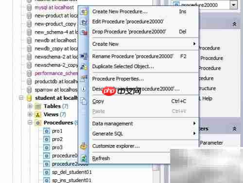 Maestro复制存储过程参数技巧