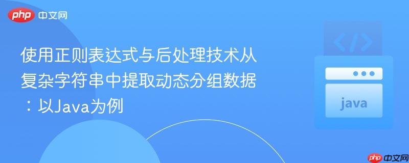 使用正则表达式与后处理技术从复杂字符串中提取动态分组数据:以Java为例