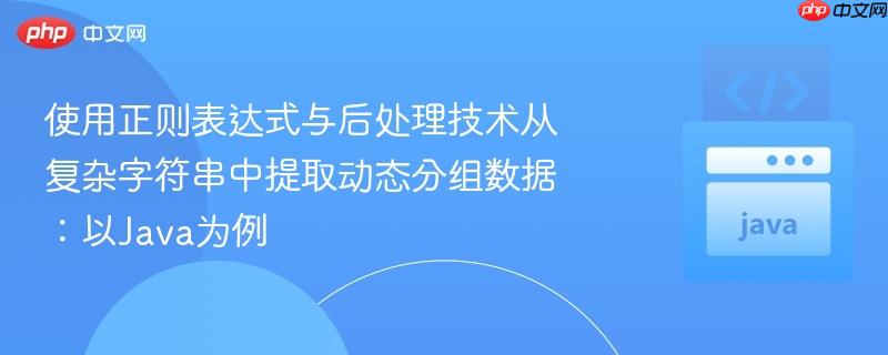 使用正则表达式与后处理技术从复杂字符串中提取动态分组数据:以Java为例