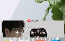 如何设置网络实时显示