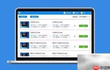 FLV视频播放与转MP4方法