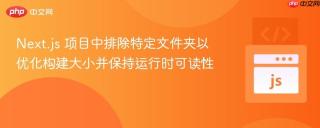 Next.js 项目中排除特定文件夹以优化构建大小并保持运行时可读性