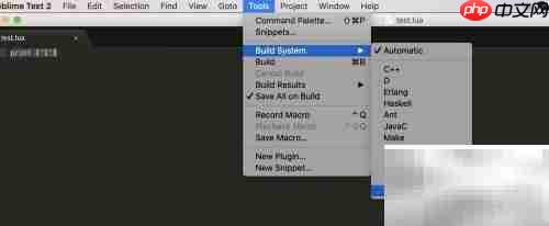 Sublime编译Lua配置指南